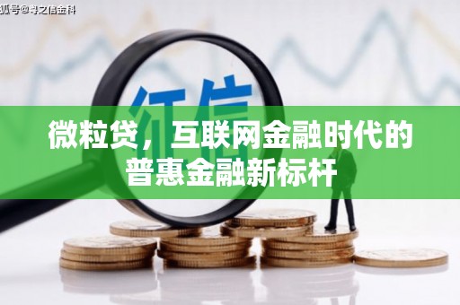 无极微粒贷，互联网金融时代的普惠金融新标杆