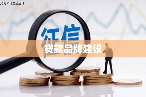 无极贷款品牌建设