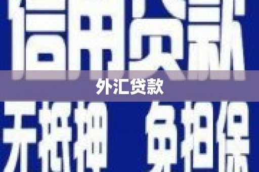 无极外汇贷款