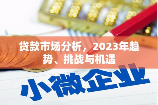 无极贷款市场分析，2023年趋势、挑战与机遇