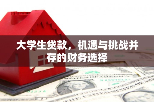 无极大学生贷款，机遇与挑战并存的财务选择