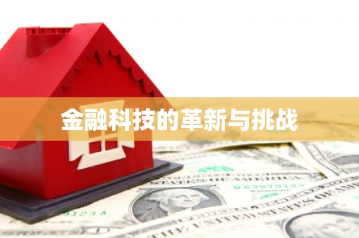 无极金融科技的革新与挑战