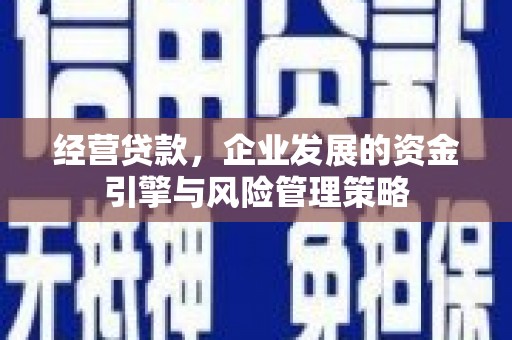 无极经营贷款，企业发展的资金引擎与风险管理策略