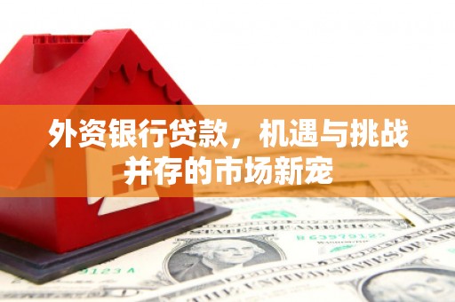 无极外资银行贷款，机遇与挑战并存的市场新宠