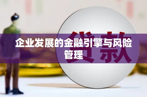 无极企业发展的金融引擎与风险管理