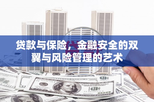 无极贷款与保险，金融安全的双翼与风险管理的艺术