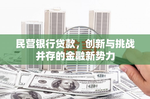 无极民营银行贷款，创新与挑战并存的金融新势力
