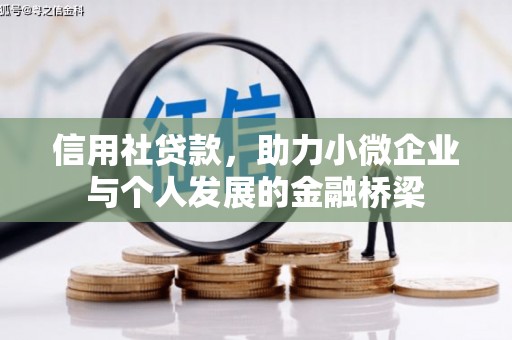 无极信用社贷款，助力小微企业与个人发展的金融桥梁