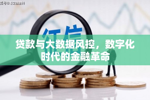 无极贷款与大数据风控，数字化时代的金融革命