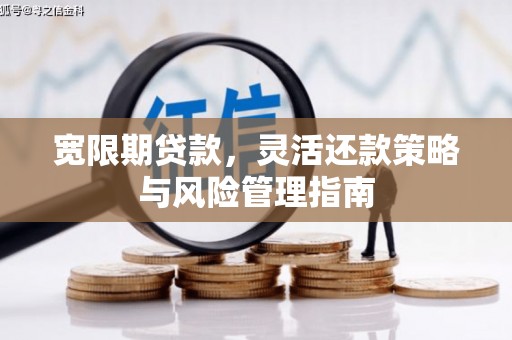 无极宽限期贷款，灵活还款策略与风险管理指南
