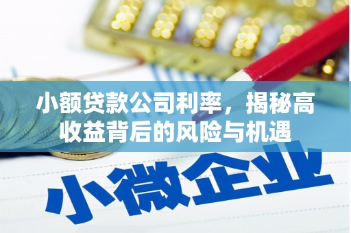 无极小额贷款公司利率，揭秘高收益背后的风险与机遇