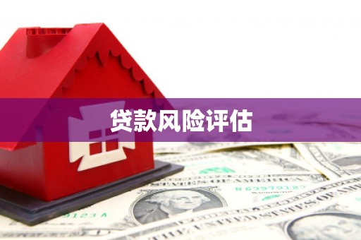 无极贷款风险评估