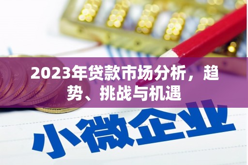 无极2023年贷款市场分析，趋势、挑战与机遇