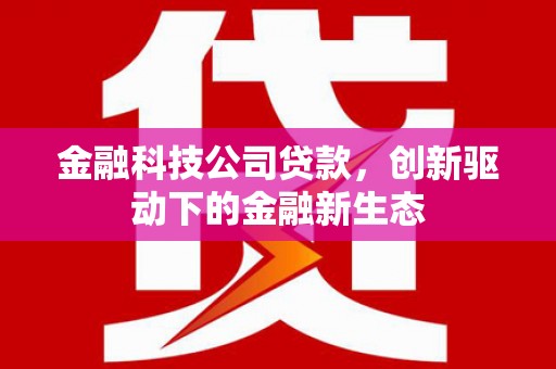 无极金融科技公司贷款，创新驱动下的金融新生态