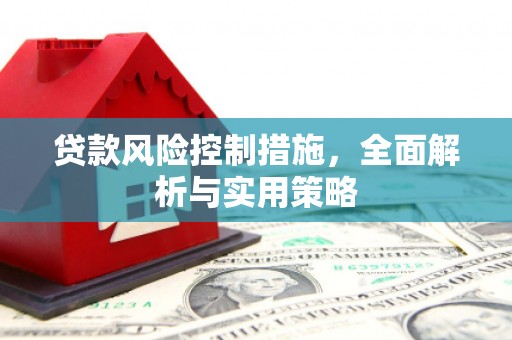 无极贷款风险控制措施，全面解析与实用策略