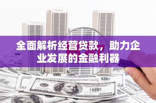 无极全面解析经营贷款，助力企业发展的金融利器
