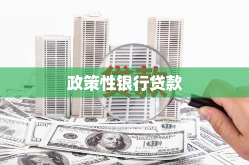无极政策性银行贷款