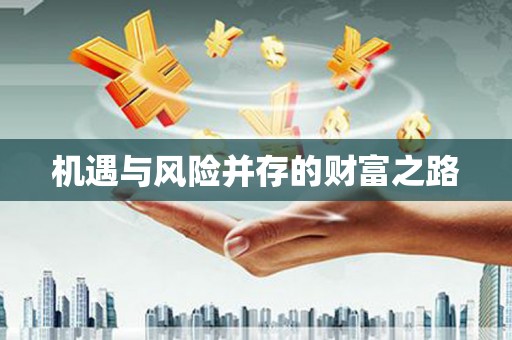 无极机遇与风险并存的财富之路