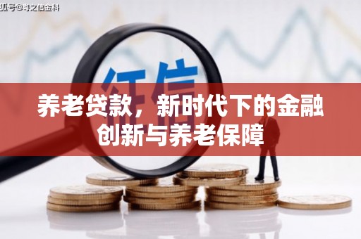 无极养老贷款，新时代下的金融创新与养老保障