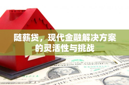 无极随薪贷，现代金融解决方案的灵活性与挑战
