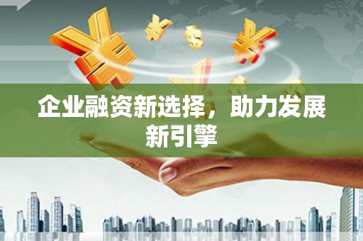 无极企业融资新选择，助力发展新引擎