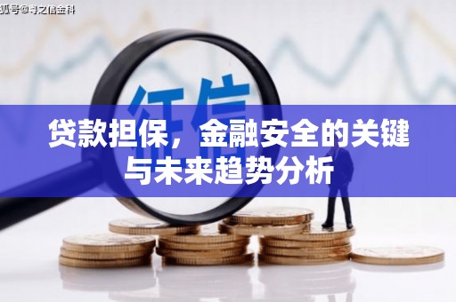 无极贷款担保，金融安全的关键与未来趋势分析