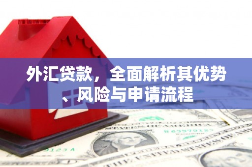 无极外汇贷款，全面解析其优势、风险与申请流程