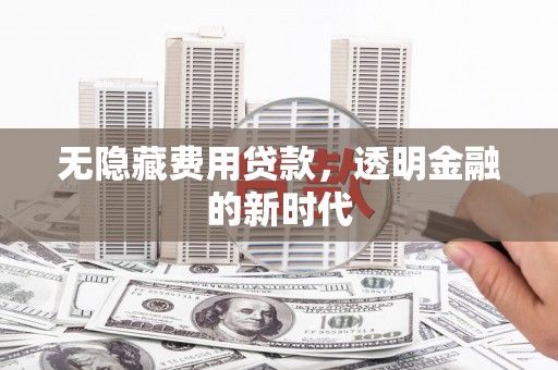 无极无隐藏费用贷款，透明金融的新时代