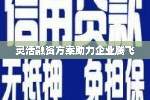 无极灵活融资方案助力企业腾飞
