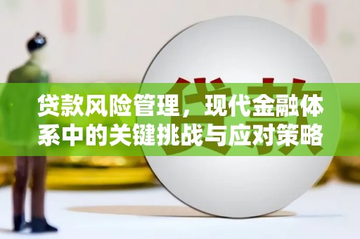 无极贷款风险管理，现代金融体系中的关键挑战与应对策略