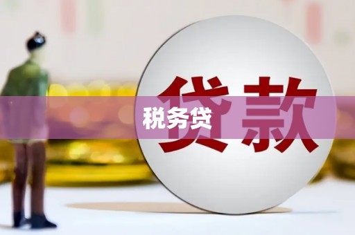 无极税务贷