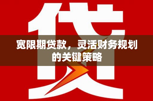 无极宽限期贷款，灵活财务规划的关键策略
