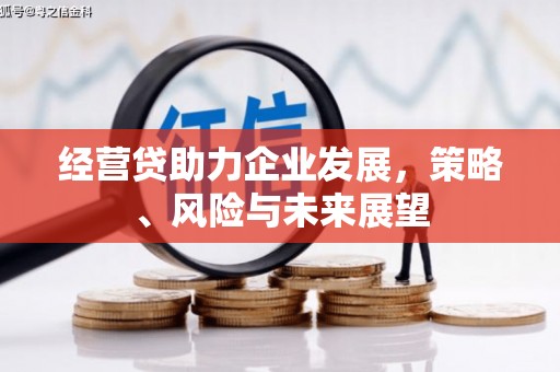 无极经营贷助力企业发展，策略、风险与未来展望