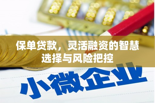 无极保单贷款，灵活融资的智慧选择与风险把控