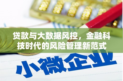 无极贷款与大数据风控，金融科技时代的风险管理新范式