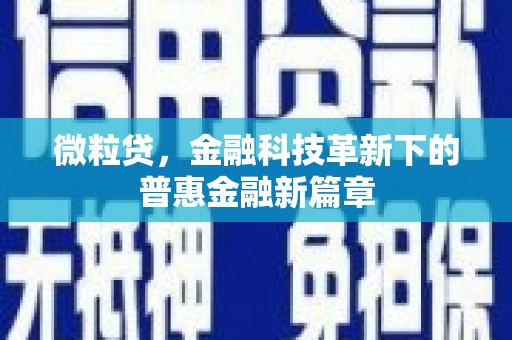 无极微粒贷，金融科技革新下的普惠金融新篇章