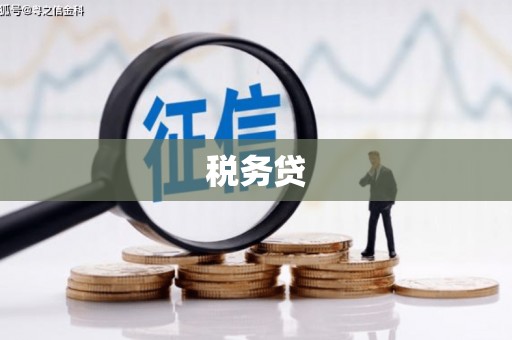 无极税务贷