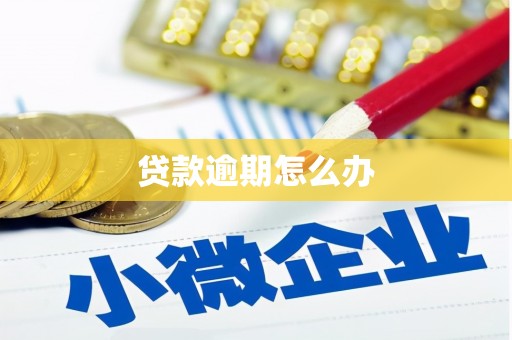 无极贷款逾期怎么办