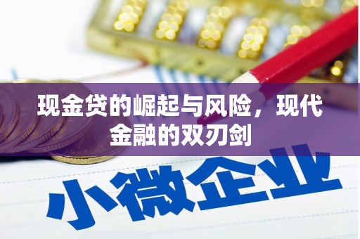 无极现金贷的崛起与风险，现代金融的双刃剑