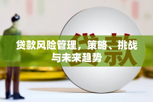 无极贷款风险管理，策略、挑战与未来趋势