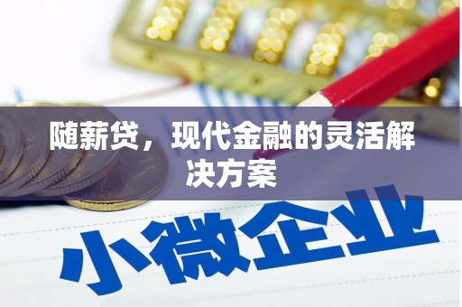 无极随薪贷，现代金融的灵活解决方案