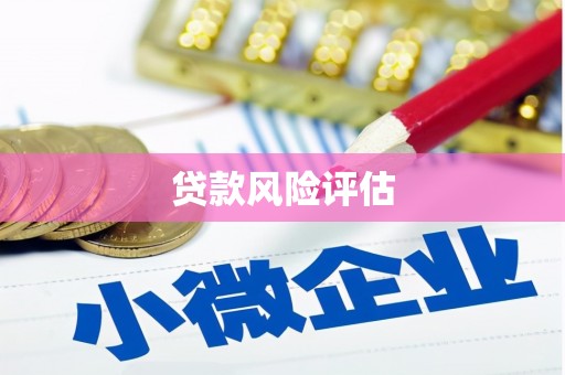 无极贷款风险评估