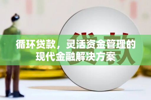 无极循环贷款，灵活资金管理的现代金融解决方案
