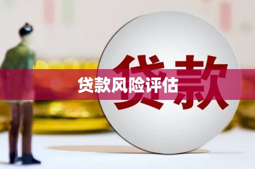 无极贷款风险评估