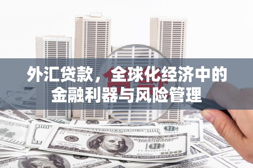 无极外汇贷款，全球化经济中的金融利器与风险管理