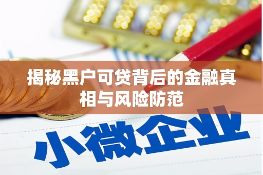无极揭秘黑户可贷背后的金融真相与风险防范