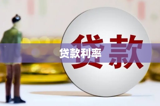 无极贷款利率