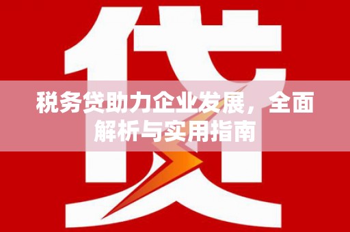 无极税务贷助力企业发展，全面解析与实用指南