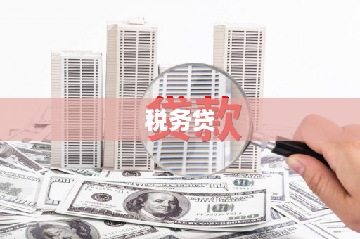 无极税务贷