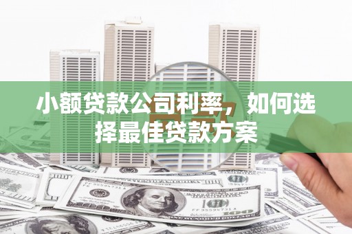无极小额贷款公司利率，如何选择最佳贷款方案